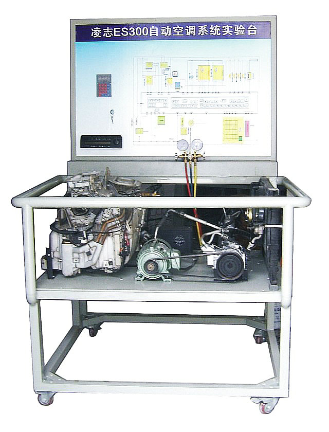 ES300Զյʵ